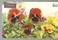 7320 SP 10/99 Flores (Amor Perfeito ferrugem) 100.000x CSM 60